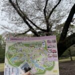 避難訓練＆芳澍ウォーク