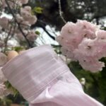 ゴールデンウィーク